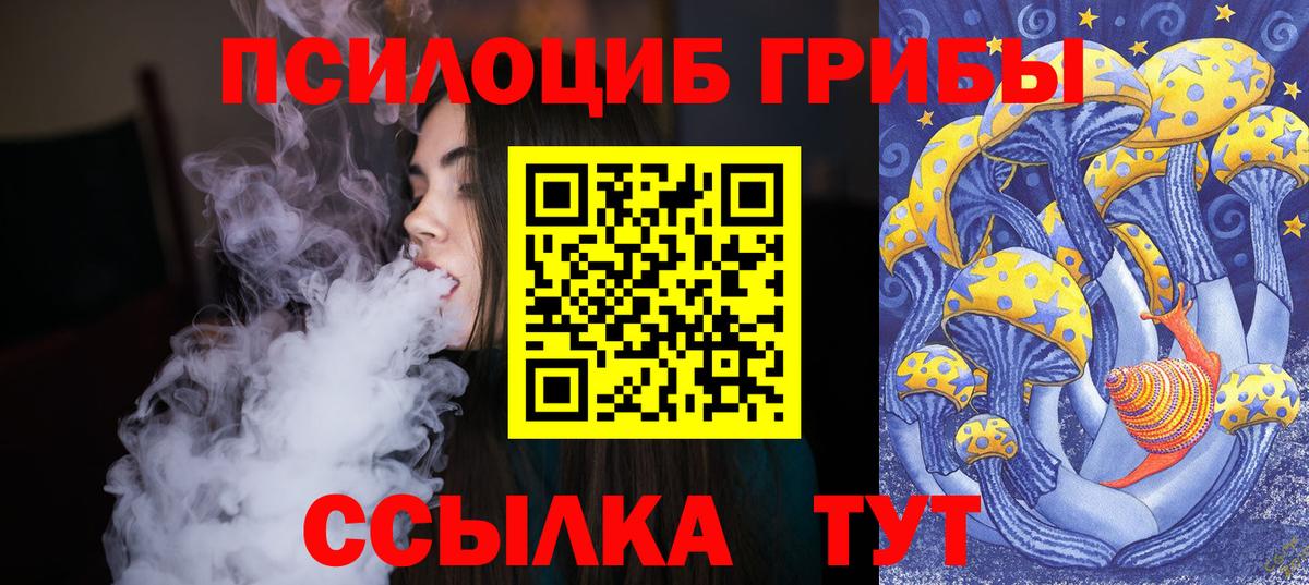 Псилоцибиновые грибы GOLDEN TEACHER  наркошоп  Королёв  Вход с VPN  Псилоцибиновые грибы мухоморы 