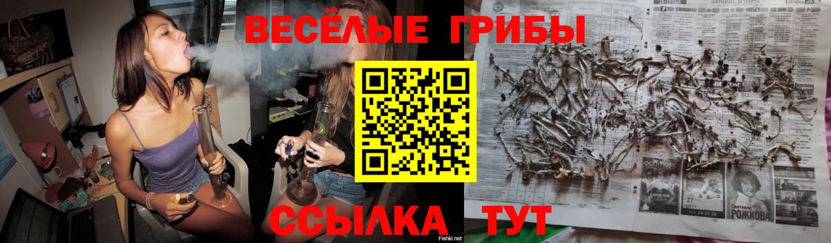 Галлюциногенные грибы ЛСД Королёв